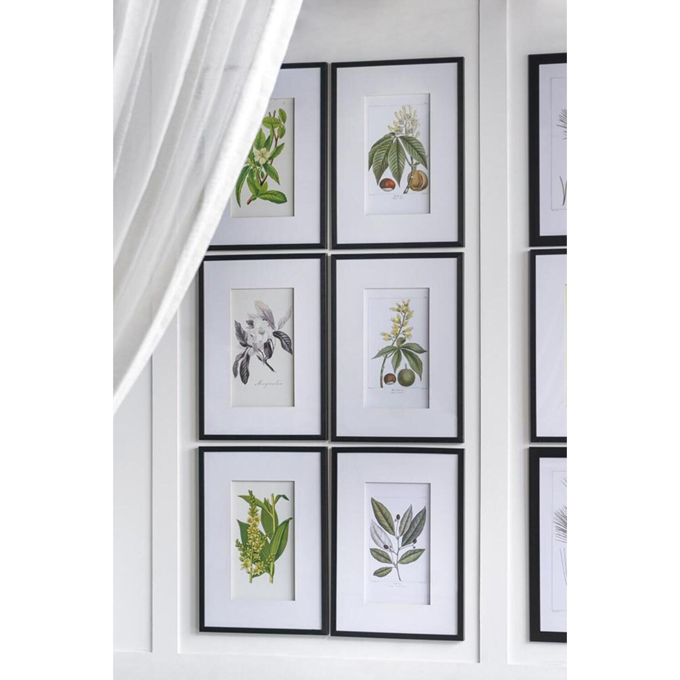 Anita Black/White Wall Art