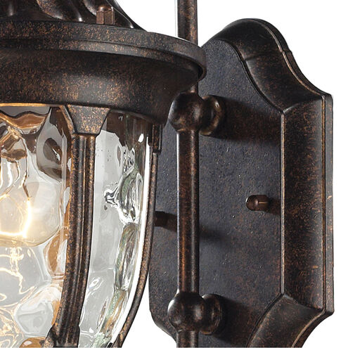 Joy 1 Light 14 inch Regal Bronze with Clear Outdoor Sconce