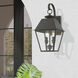 Wentworth 2 Light 9 inch Charcoal Outdoor Medium Wall Lantern Wall Light, Medium