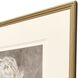 Pretty as a Peony Beige and Brown and Neutral Framed Art