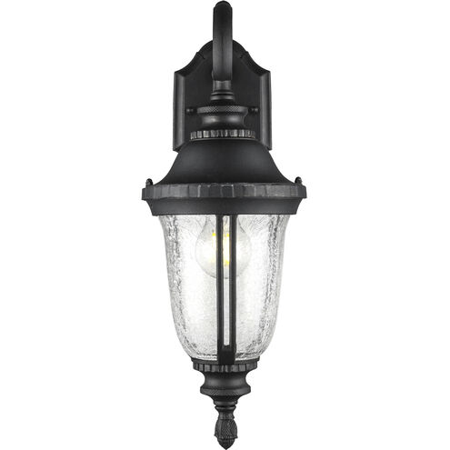 Chessie 1 Light 20 inch Black Outdoor Wall Lantern