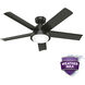 Seawall 52 inch Noble Bronze Outdoor Ceiling Fan
