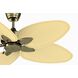 Windpointe Antique Brass Unipack, FItter needs to be ordered also if getting glass F423