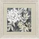 My Garden Green and White and Black Framed Art, Propac