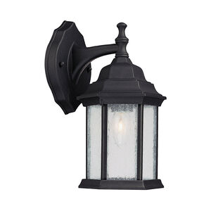 Severinus 1 Light 12 inch Black Outdoor Wall Lantern