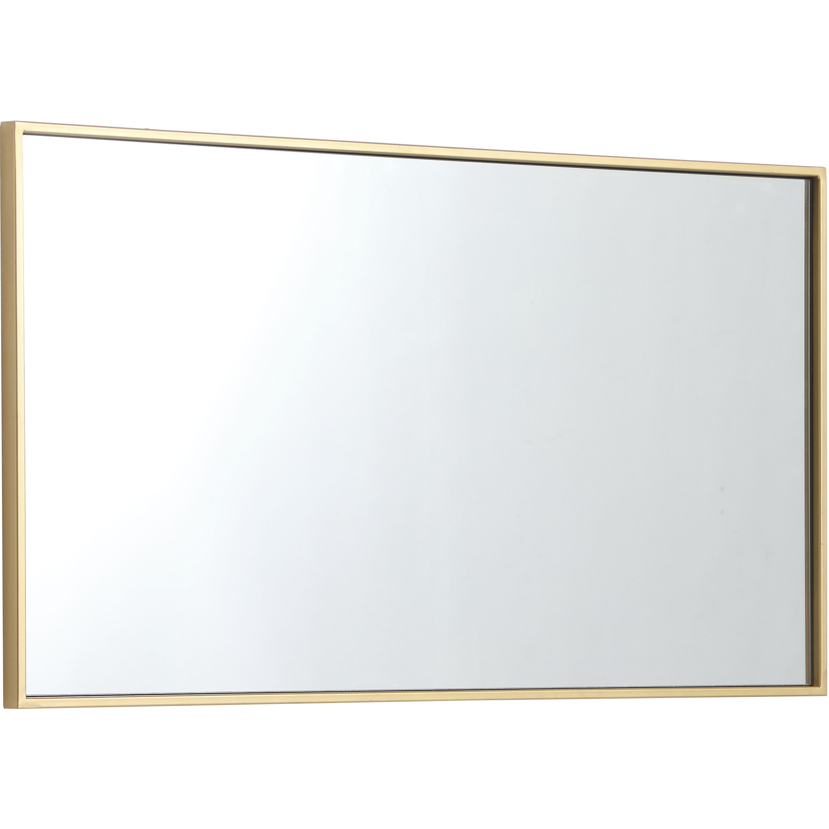 Monet 36 X 20 inch Brass Wall Mirror