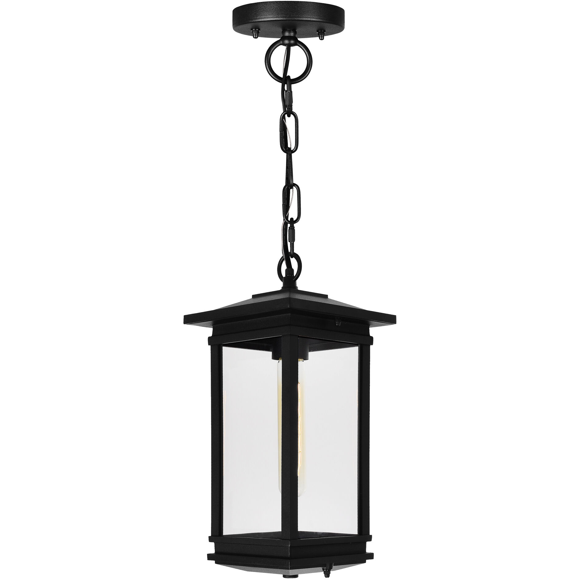 Oakwood 1 Light 6.9 inch Black Outdoor Hanging Light