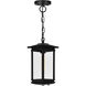 Oakwood 1 Light 6.9 inch Black Outdoor Hanging Light