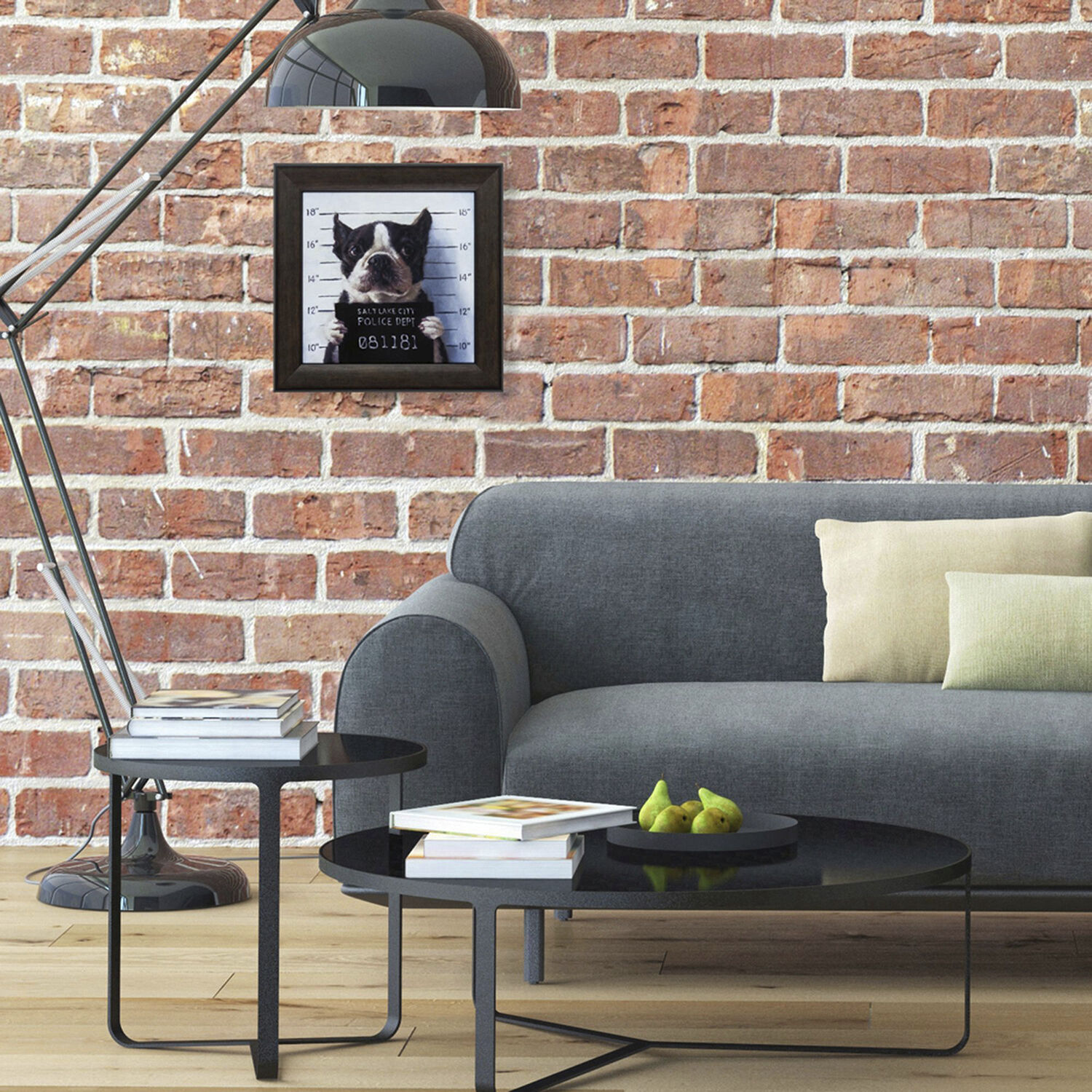 Animals 11 X 11 inch Non-Glass Framed Art, Propac