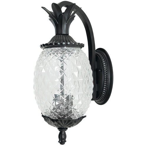 Lanai 2 Light 18 inch Matte Black Exterior Wall Mount