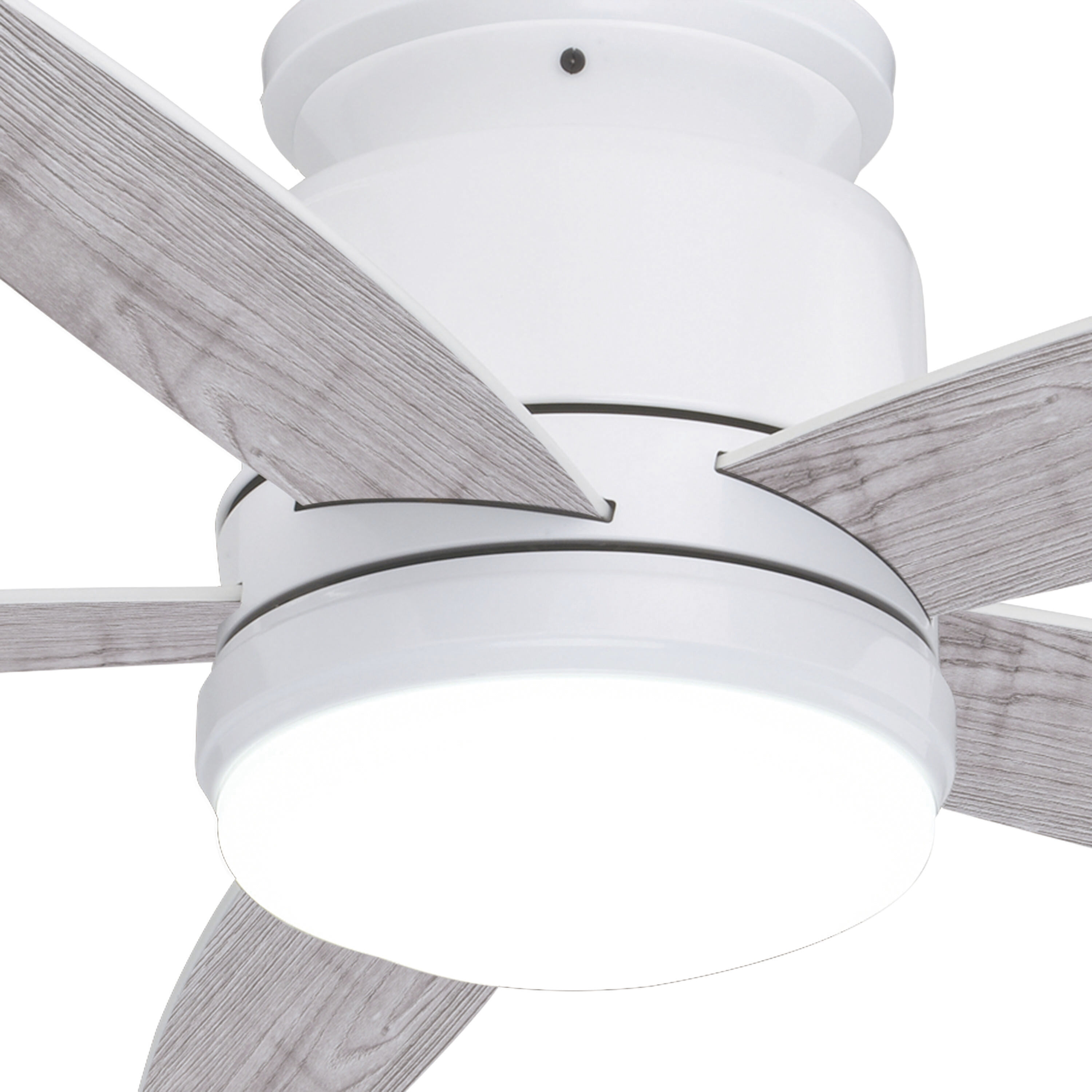 Armon 19.1 inch White with White-Gray Elm Blades Ceiling Fan