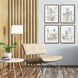 Scenic Collection Multi Framed Art