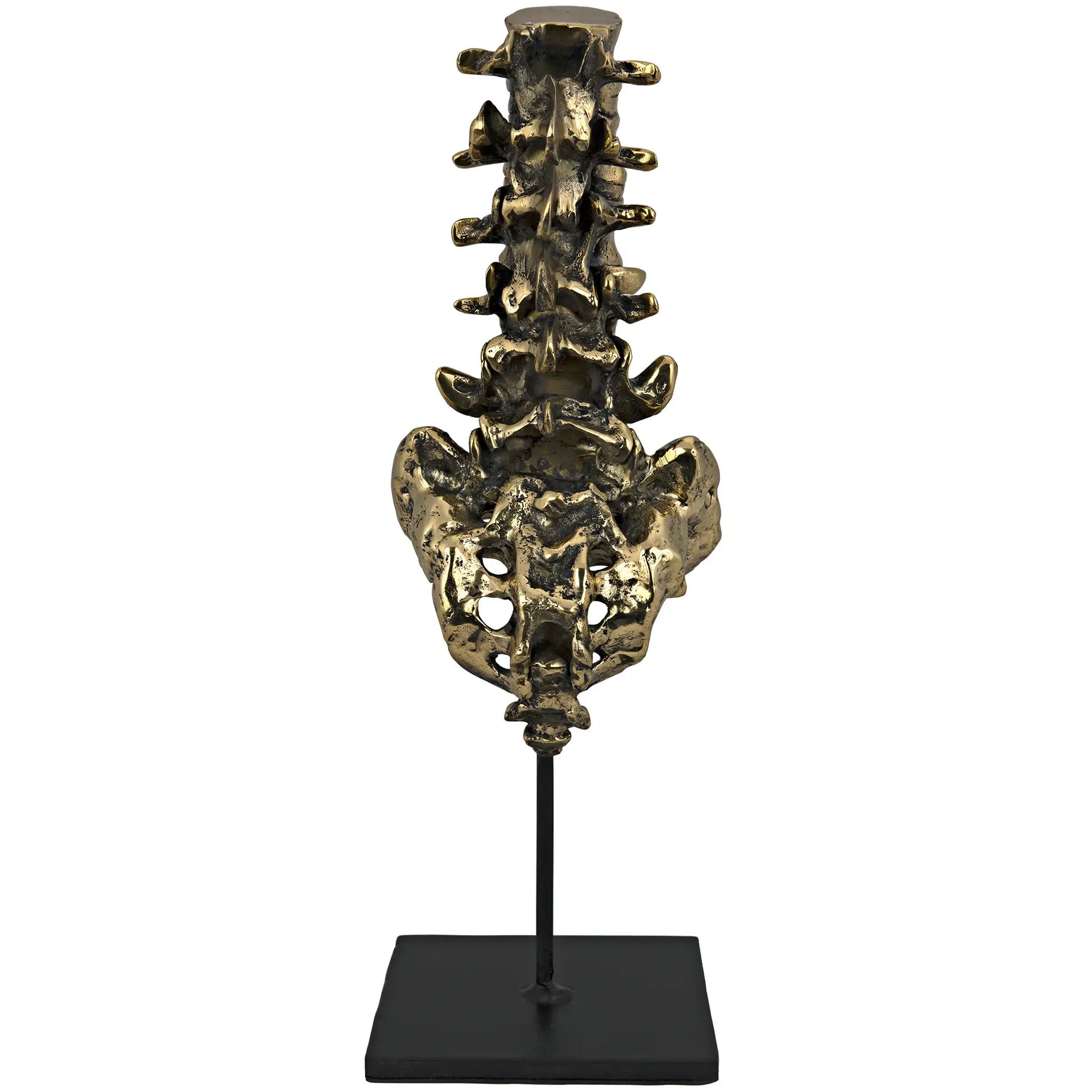 Vertebrae Brass Decor Accessory