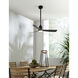 Kute LED Black Fan Light