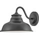 Wallace Outdoor Barn Light in Aged Zinc, Gooseneck