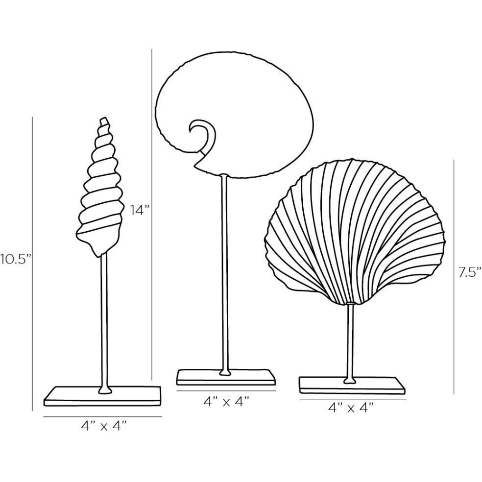 Shell White Sculptures, Set of 3