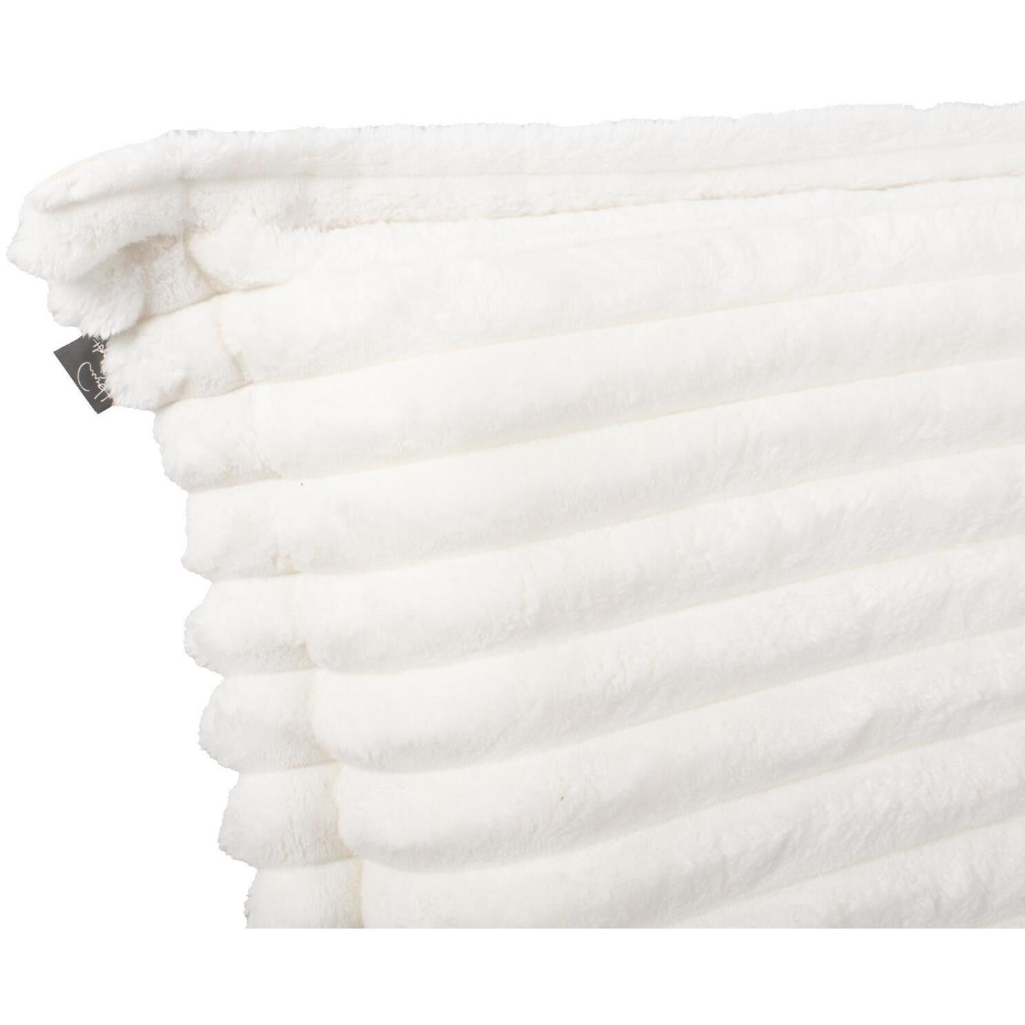 Shar Pei White Rocker