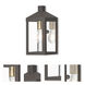 Nyack 1 Light 10.5 inch Bronze Outdoor Wall Lantern