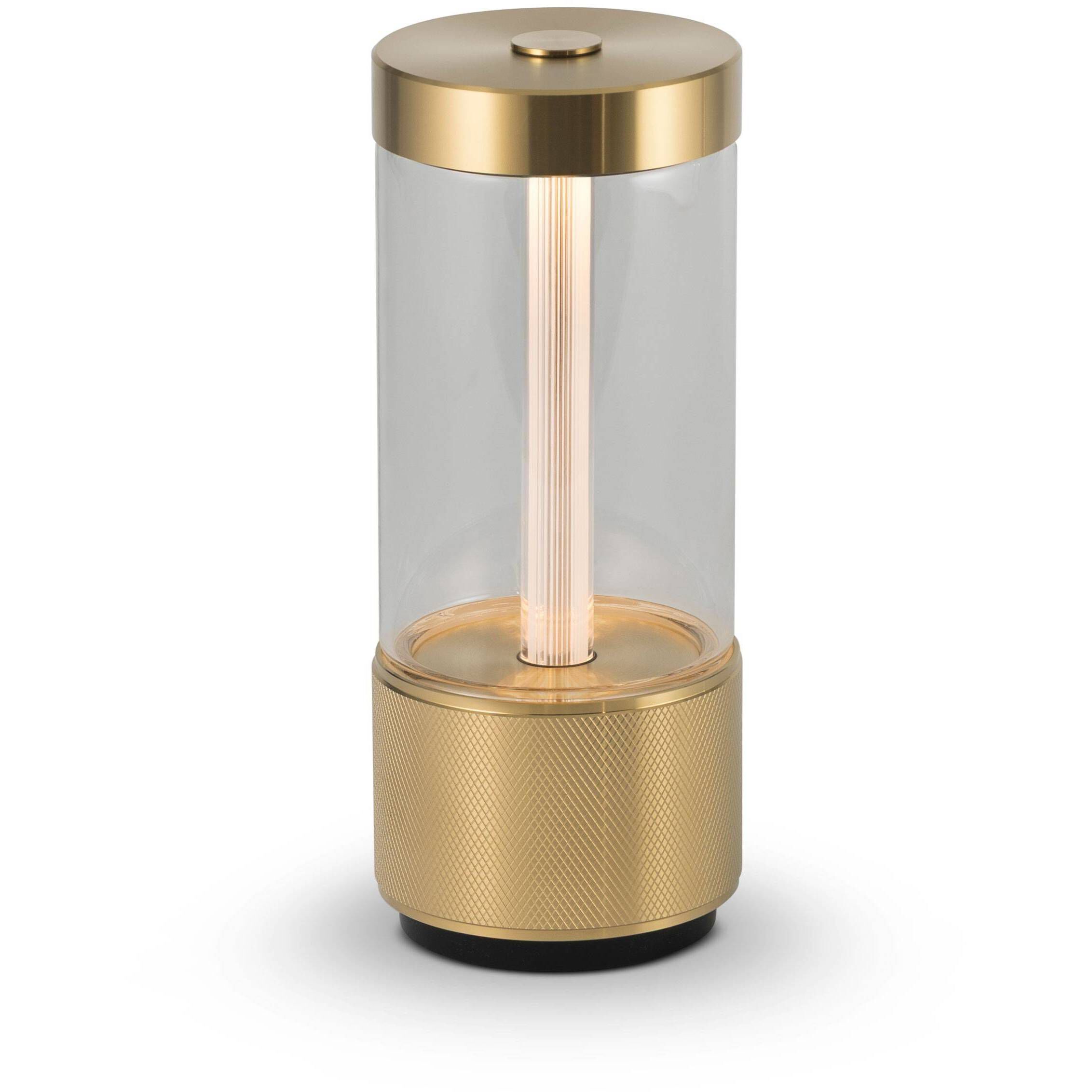 Takeout 8.66 inch 7 watt Brass Portable Light