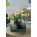 Anita Green Tray