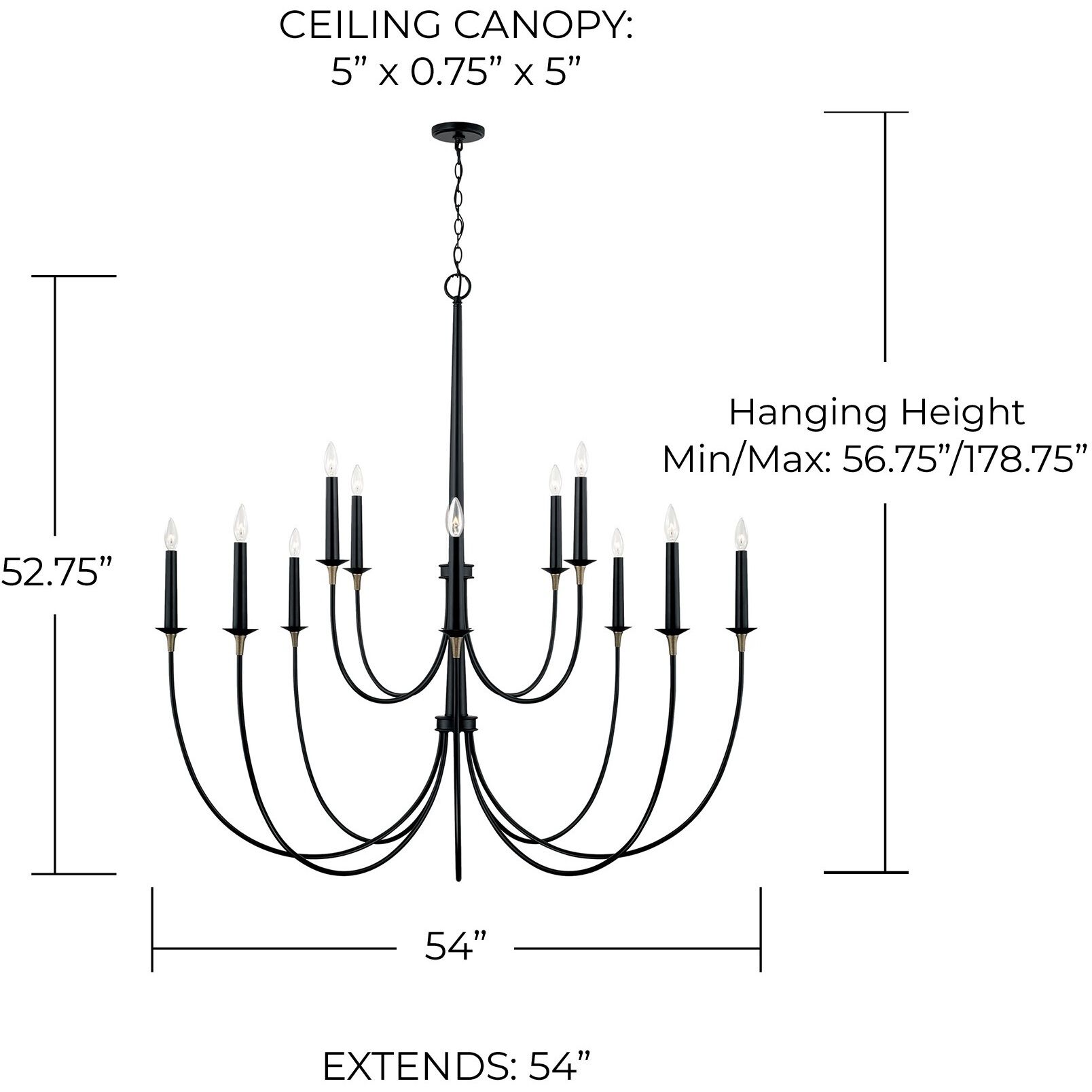 Amara 12 Light 54 inch Matte Black with Brass Chandelier Ceiling Light 