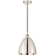 Edison Dome 1 Light 9 inch Polished Nickel Mini Pendant Ceiling Light