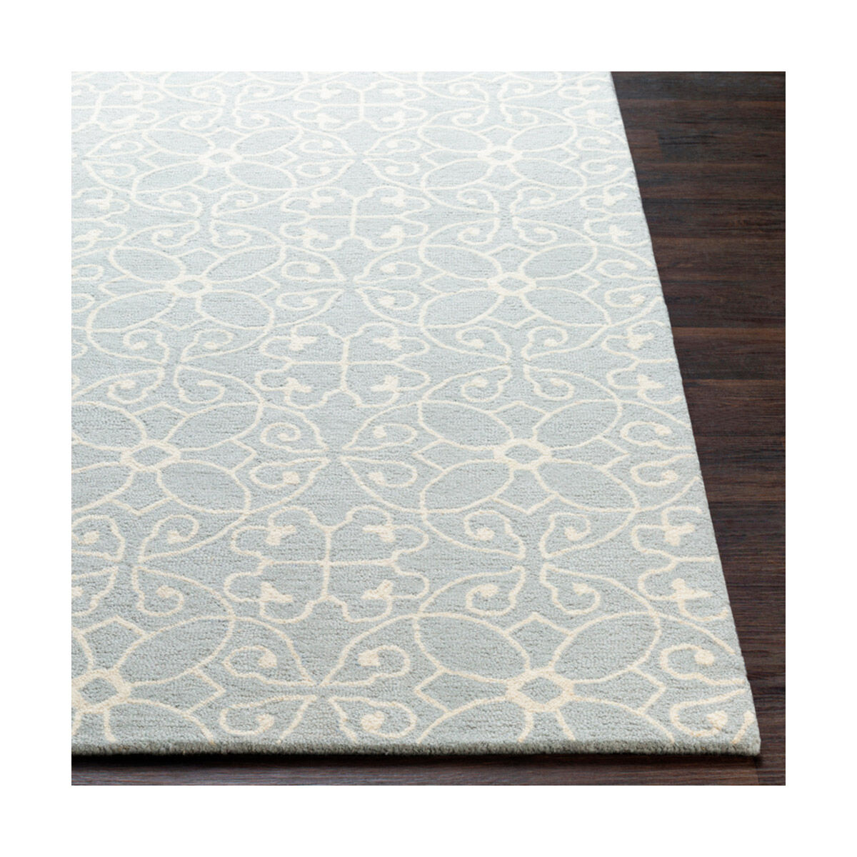 Scott 72 X 48 inch Light Gray/Cream Rugs, Rectangle