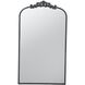 Anita 41.7 X 24 inch Black Mirror