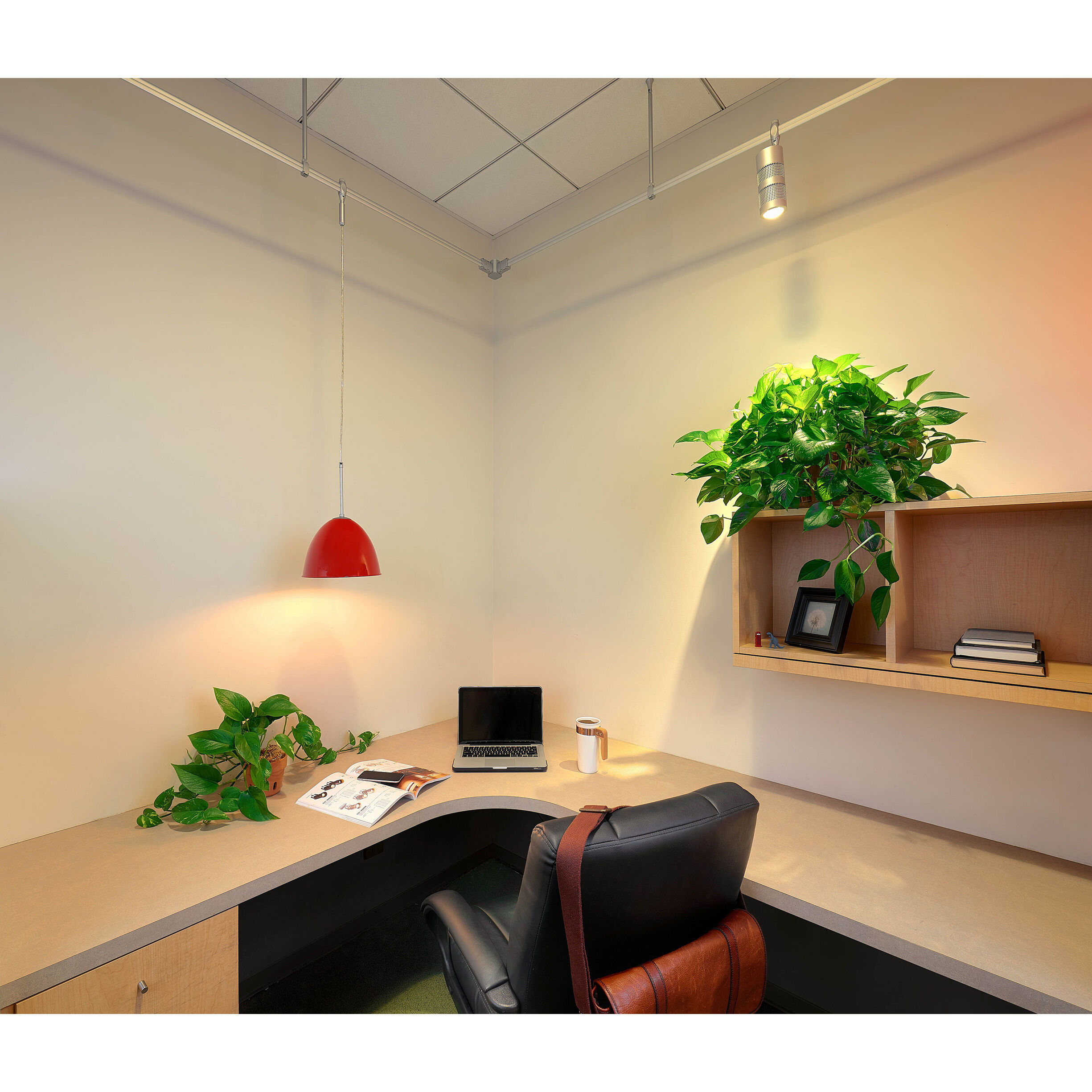 Classic 1 Light 9.6 inch Black and Canary Yellow Large Pendant Ceiling Light