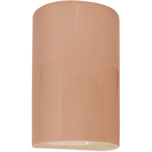 Ambiance 1 Light 9.5 inch Gloss Blush Outdoor Wall Sconce in Incandescent