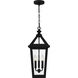 Boulevard 3 Light 9.5 inch Matte Black Outdoor Hanging Lantern, Large