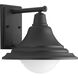 Chandler LED 12 inch Black Outdoor Wall Lantern, Medium 