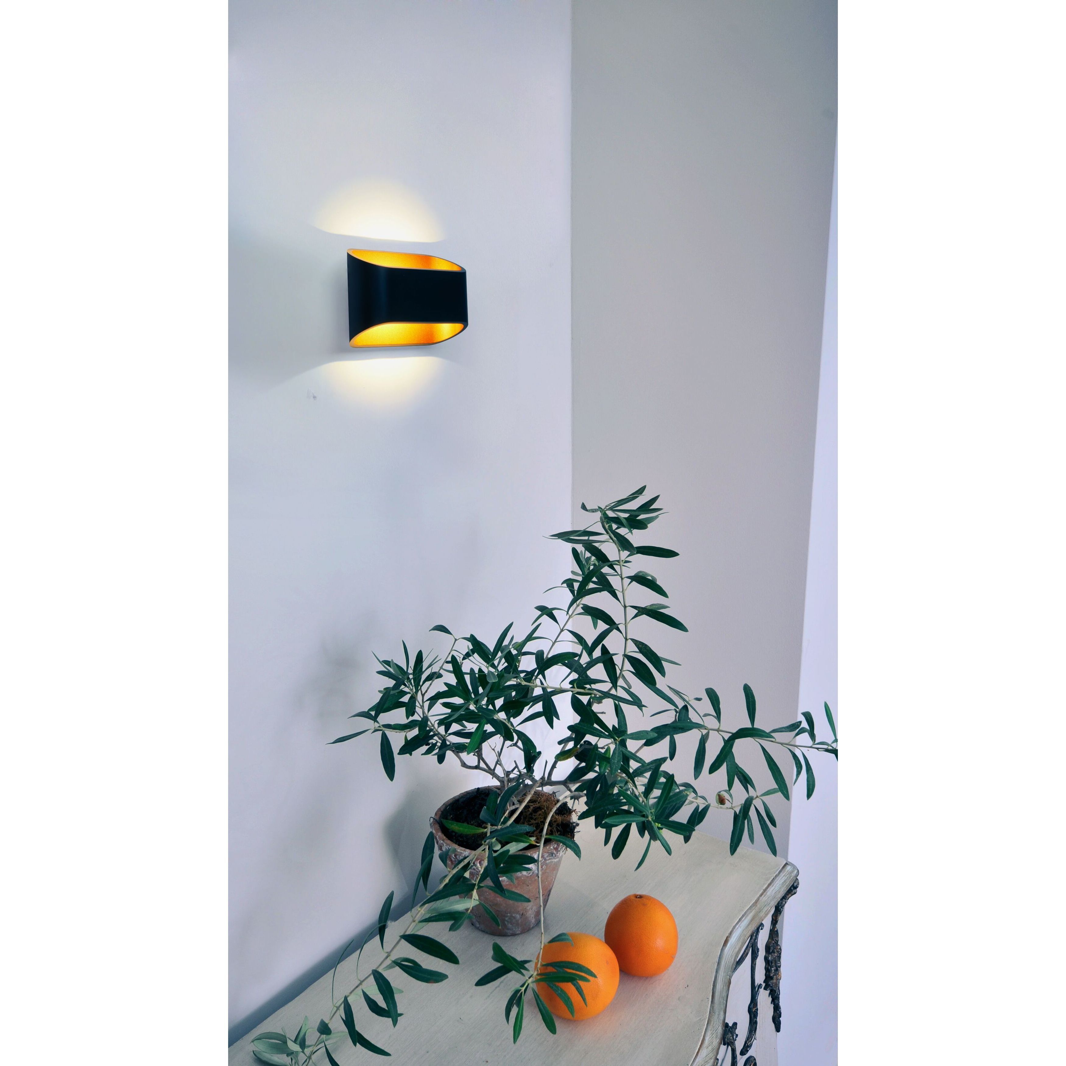 Eclipse LED Wall Sconce Wall Light in Black/Gold
