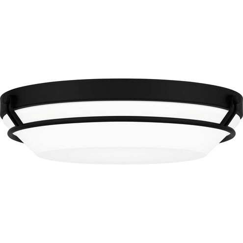 Dunbar 16 inch Matte Black Flush Mount Ceiling Light