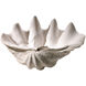 Clam Shell 21 X 9 inch Bowl