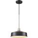 Daisy 1 Light 11.75 inch Graphite And Satin Nickel Pendant Ceiling Light