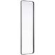 Remy 60 X 18 inch Silver Mirror