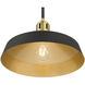 Axlen 1 Light 12 inch Matte Black and Vintage Brass Pendant Ceiling Light