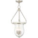 Andover 4 Light 14 inch Polished Nickel Pendant Ceiling Light
