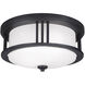 Crowell 2 Light 14.06 inch Black Outdoor Ceiling Flush Mount