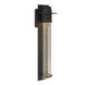 Airis 1 Light 18.3 inch Coastal Burnished Steel Outdoor Sconce, Small