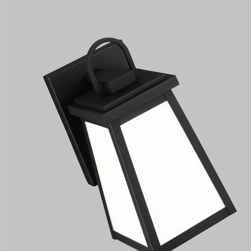 Founders 1 Light 11.5 inch Black Outdoor Wall Lantern