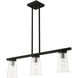 Cityview 3 Light 30 inch Black with Brushed Nickel Accents Linear Chandelier Ceiling Light