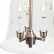 Sophia 3 Light 11 inch Pewter Bell Jar Pendant Ceiling Light in Satin Nickel
