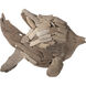 Angel Fish Natural Decorative Object