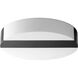 Aurora LED 14 inch Black Flush Mount Ceiling Light