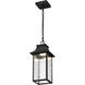 Austen LED Matte Black Outdoor Hanging Fixture