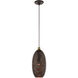 Dublin 1 Light 7 inch Bronze with Antique Brass Accents Pendant Ceiling Light
