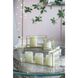 Anita 5 inch Clear/Gold Box