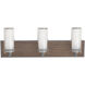 Arden LED 23.75 inch Satin Nickel Vanity Light Wall Light